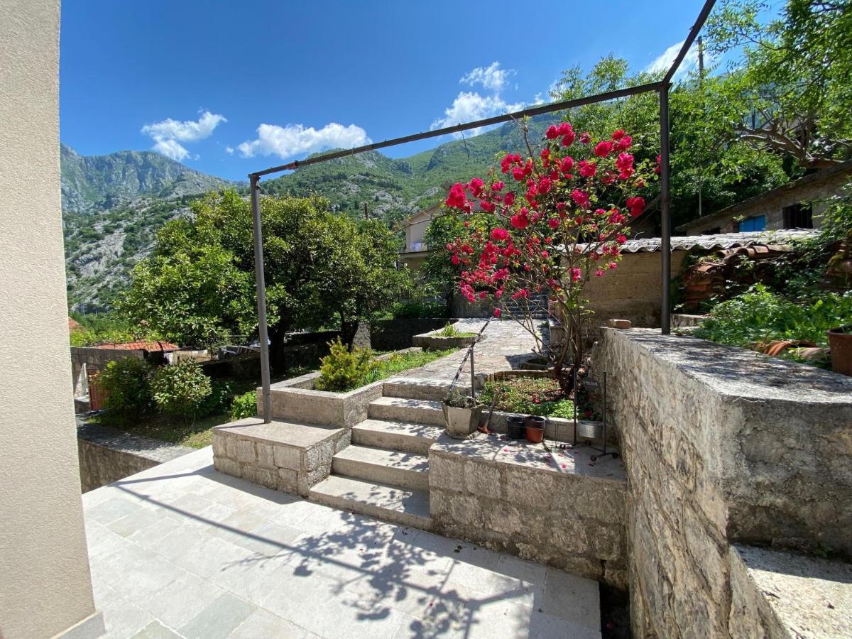 Apartments Mezini 11 Κότορ Εξωτερικό φωτογραφία