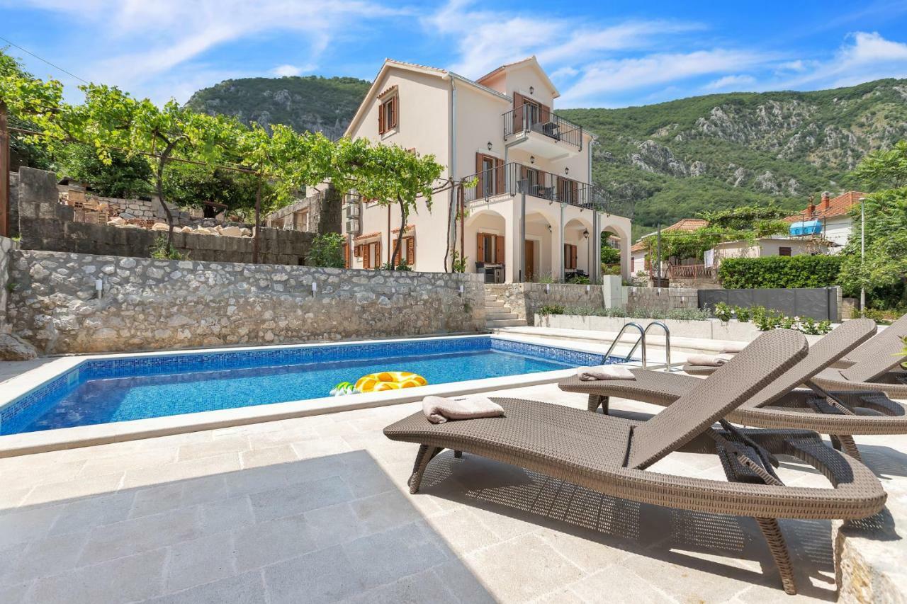 Apartments Mezini 11 Κότορ Εξωτερικό φωτογραφία