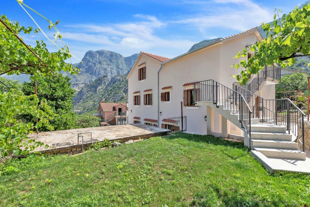 Apartments Mezini 11 Κότορ Εξωτερικό φωτογραφία